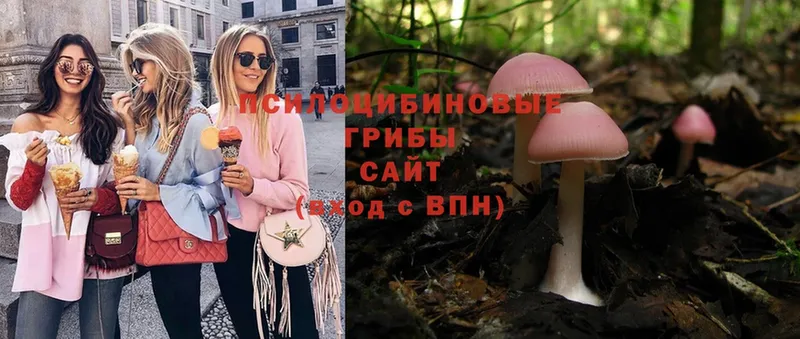 Псилоцибиновые грибы Magic Shrooms  Белинский 